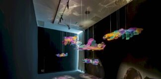 La Comunidad de Madrid expone a diez artistas emergentes en Circuitos 2026 - imagen 1