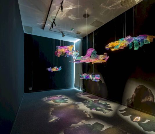 La Comunidad de Madrid expone a diez artistas emergentes en Circuitos 2026 - imagen 1