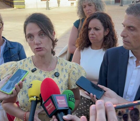 PSOE-M exige la dimisión de Judith Piquet tras la petición de inhabilitación de la Fiscalía - imagen 1