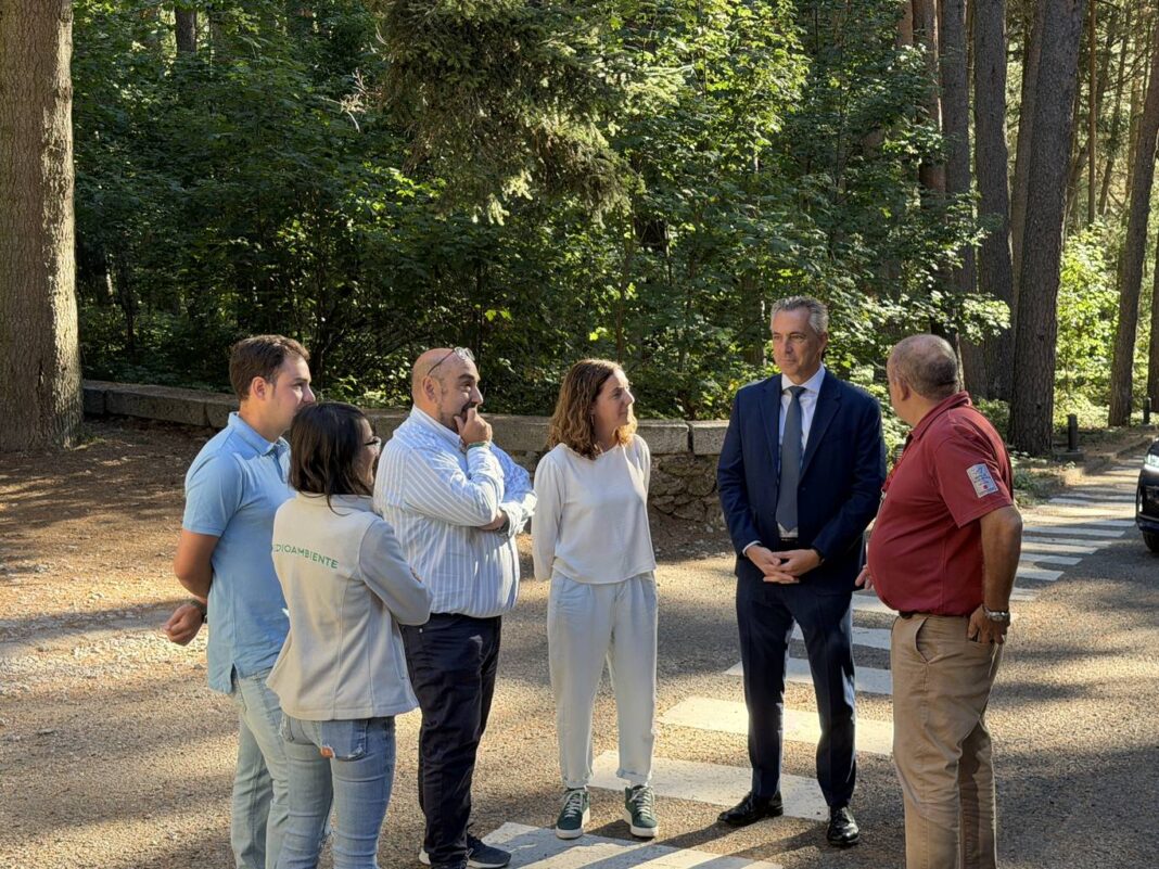 Madrid invierte 11 millones en restaurar humedales de interés científico y ecológico - imagen 1