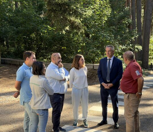 Madrid invierte 11 millones en restaurar humedales de interés científico y ecológico - imagen 1