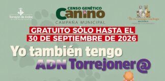 Torrejón de Ardoz implanta el ADN canino gratuito hasta septiembre de 2026 - imagen 1