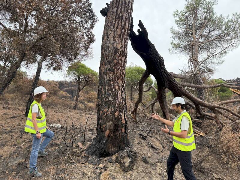 La Comunidad de Madrid actúa en 100 kilómetros de caminos forestales tras el incendio de la Sierra Oeste