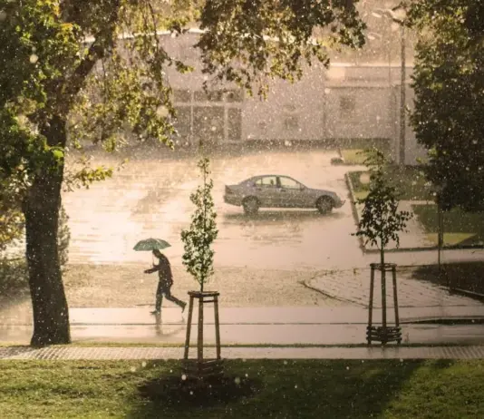 La Comunidad de Madrid insta a los 179 ayuntamientos a prevenir inundaciones por tormentas otoñales - imagen 1