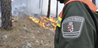 CSIF reclama recuperar el papel de los Agentes Forestales en la prevención de incendios - imagen 1