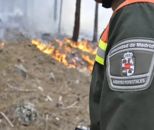 CSIF reclama recuperar el papel de los Agentes Forestales en la prevención de incendios - imagen 1