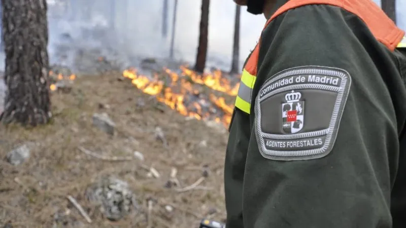 CSIF reclama recuperar el papel de los Agentes Forestales en la prevención de incendios - imagen 1