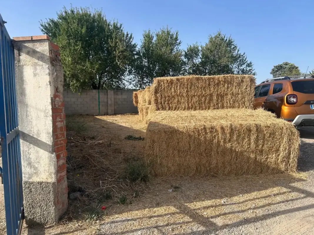 La Comunidad de Madrid reparte 55.000 kilos de alimento y 50.000 litros de agua para la fauna del incendio de la Sierra Oeste - imagen 1