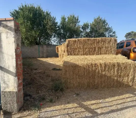 La Comunidad de Madrid reparte 55.000 kilos de alimento y 50.000 litros de agua para la fauna del incendio de la Sierra Oeste - imagen 1
