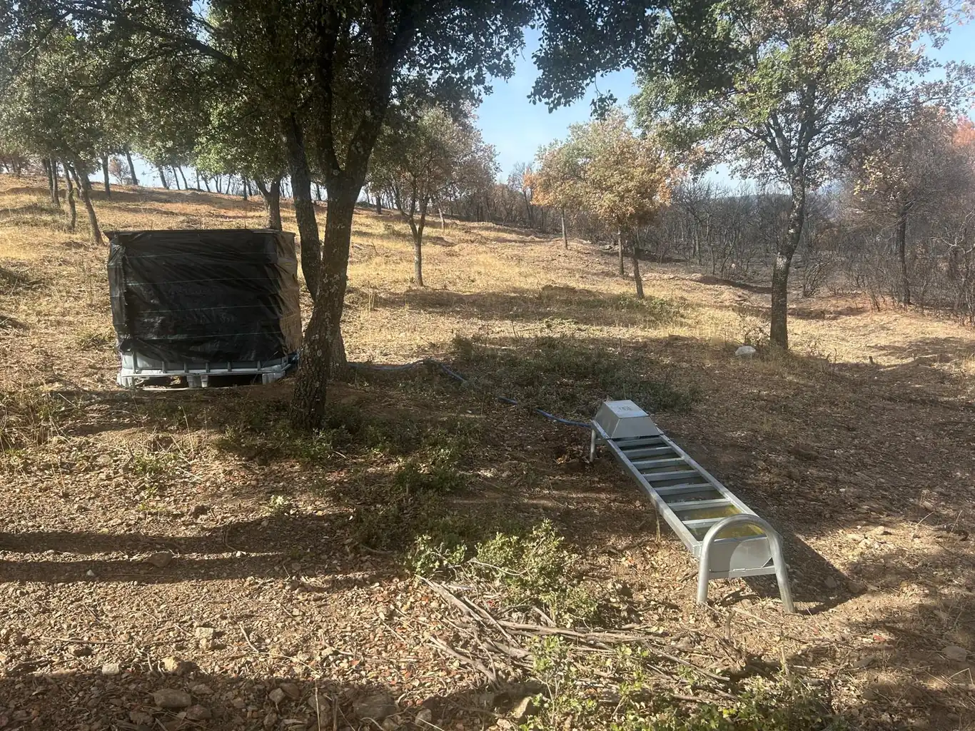La Comunidad de Madrid reparte 55.000 kilos de alimento y 50.000 litros de agua para la fauna del incendio de la Sierra Oeste