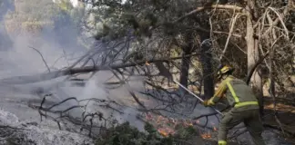 La Comunidad mantiene atención social a más de 2.000 mayores tras el incendio de la Sierra Oeste - imagen 1