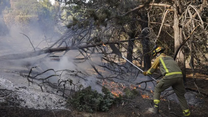 La Comunidad mantiene atención social a más de 2.000 mayores tras el incendio de la Sierra Oeste - imagen 1