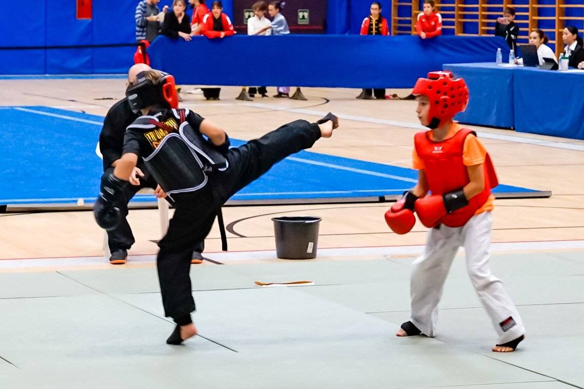 Torrejón de Ardoz acoge el I Open de Wushu con deportistas de toda España