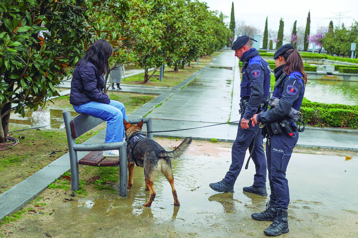 Alcobendas aprueba su nueva Ordenanza de Convivencia con multas más duras y videovigilancia