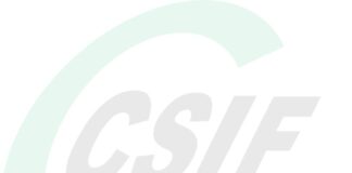 CSIF convoca tres días de huelga en la educación pública madrileña desde el 14 de octubre - imagen 1