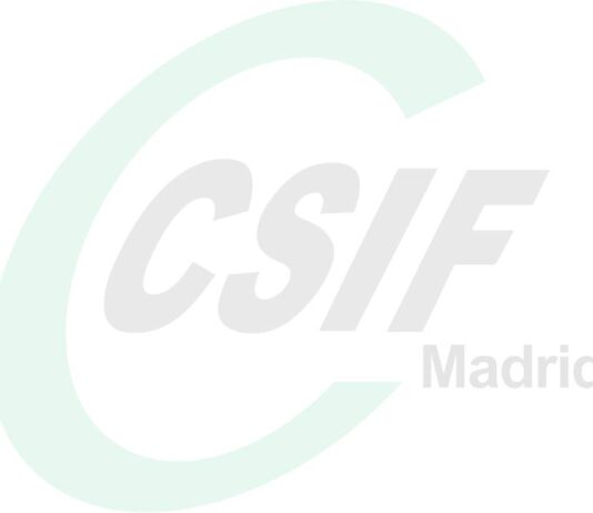 CSIF convoca tres días de huelga en la educación pública madrileña desde el 14 de octubre - imagen 1