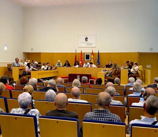 San Fernando de Henares aprueba una proposición en defensa de la sanidad pública sin el PP - imagen 1