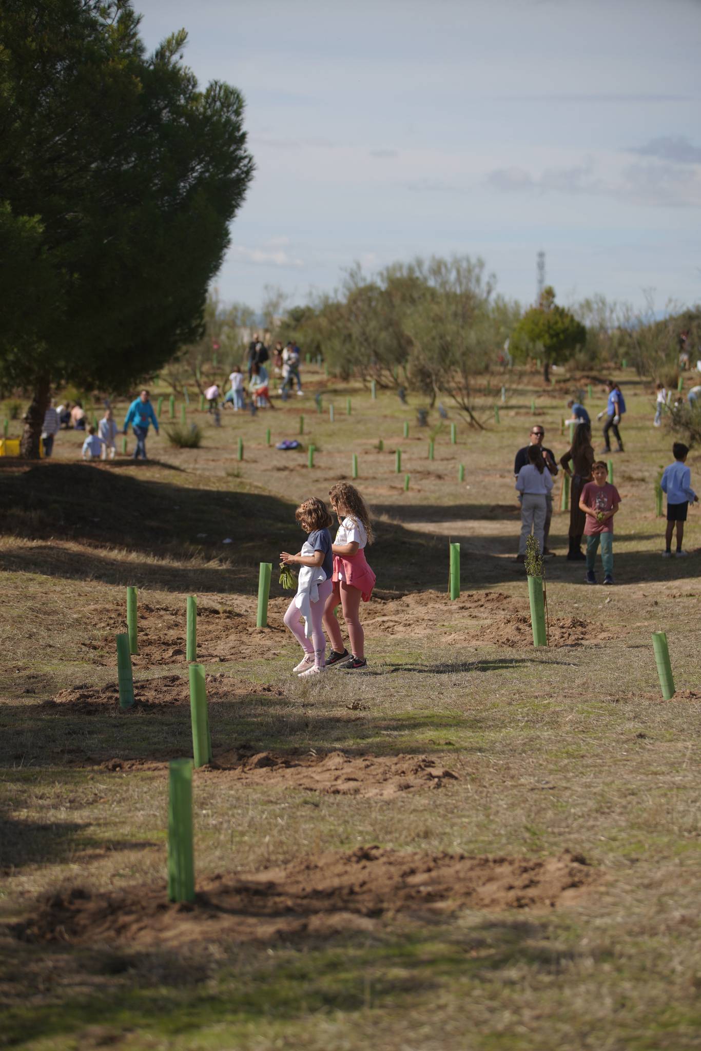Las Rozas: Gran Plantación Familiar en Las Matas el 24 de octubre