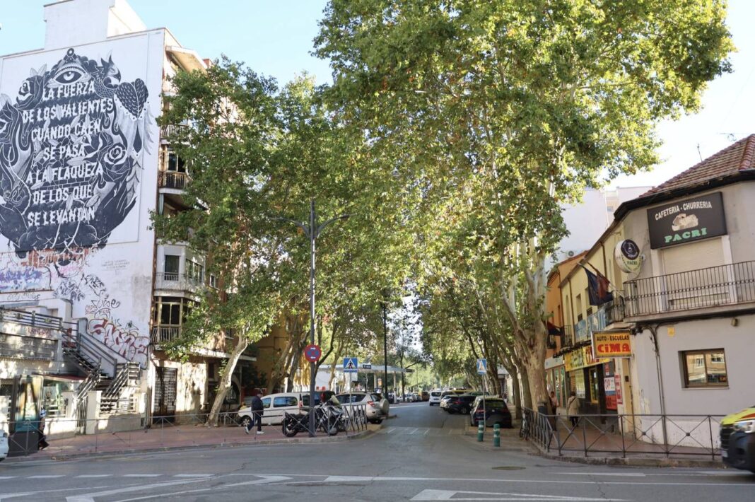 Alcalá de Henares: la Junta de Gobierno aprueba renovar el saneamiento de la Avenida de Guadalajara - imagen 1