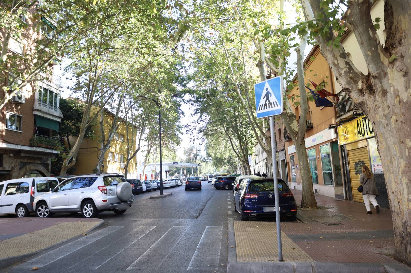 Alcalá de Henares: la Junta de Gobierno aprueba renovar el saneamiento de la Avenida de Guadalajara
