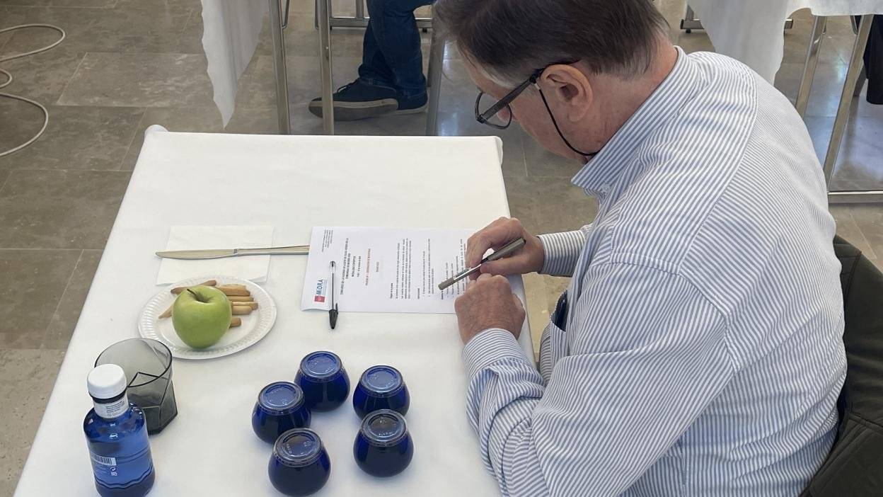 Alcalá de Henares acoge el primer Concurso de Catadores de Aceite de Oliva Virgen de la Comunidad de Madrid
