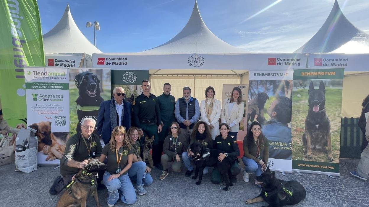 La Comunidad de Madrid celebra la XXI edición del Salón para la Adopción de Animales de Compañía